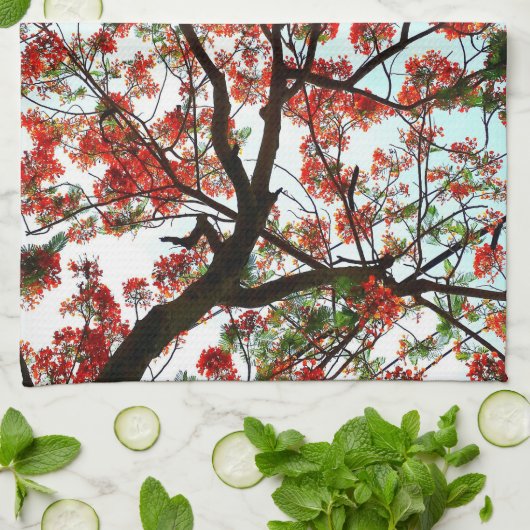 Flamboyant Royal Poinciana Boom Rood Zwart Wit Theedoek (Gevouwen)