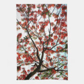 Flamboyant Royal Poinciana Boom Rood Zwart Wit Theedoek (Verticaal)