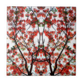 Flamboyant Royal Pooverana Tree Tegeltje (Voorkant)