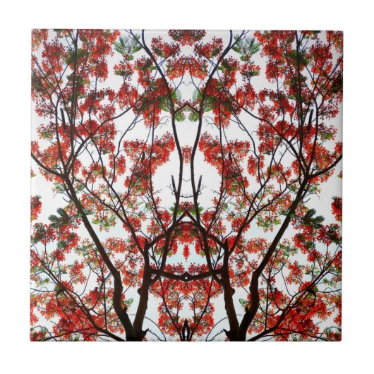 Flamboyant Royal Pooverana Tree Tegeltje (Voorkant)