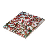 Flamboyant Royal Pooverana Tree Tegeltje (Zijkant)