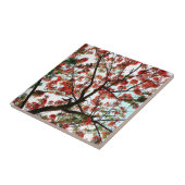 Flamboyant Royal Pooverana Tree Tegeltje (Zijkant)