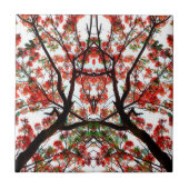 Flamboyant Royal Pooverana Tree Tegeltje (Voorkant)