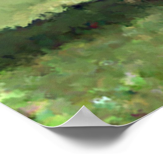 Flamboyollen Poster (Hoek)