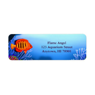 Flame Angelfish reef Fish Label