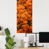Flame Azalea Flowers Poster (Thuiskantoor)