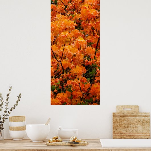 Flame Azalea Flowers Poster (Keuken)