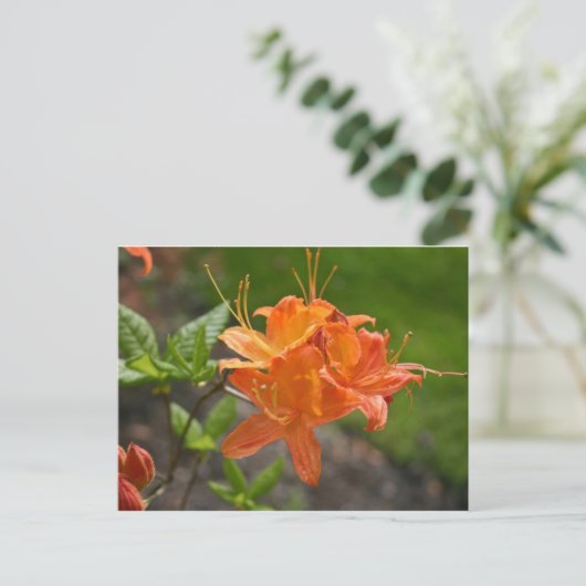 Flame Azalea Spring Post Card Briefkaart (Staand voorkant)