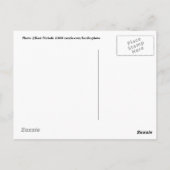 Flame Azalea Spring Post Card Briefkaart (Achterkant)