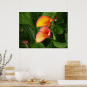 Flame Calla. Poster (Keuken)