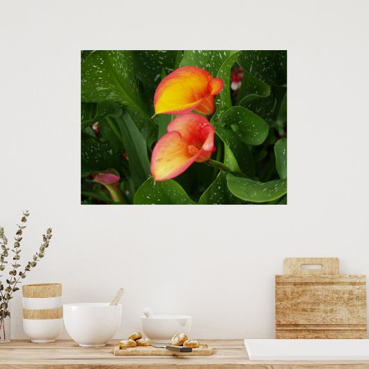 Flame Calla. Poster (Keuken)