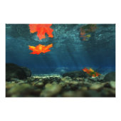 Flame in water Foto afdrukken (Voorkant)