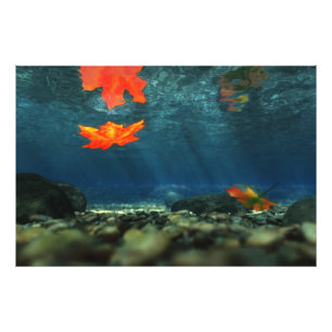 Flame in water Foto afdrukken