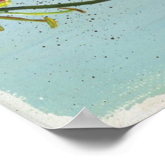 Flame Lily van Cheryl Jowers Poster (Hoek)