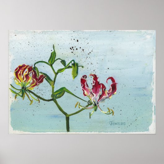 Flame Lily van Cheryl Jowers Poster (Voorkant)