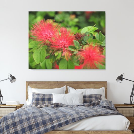 Flame Mimosa boom bloeit uitgerekt canvas Print (Insitu (Slaapkamer))