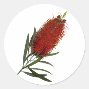 Flame Red Bottle Brush Ronde Sticker