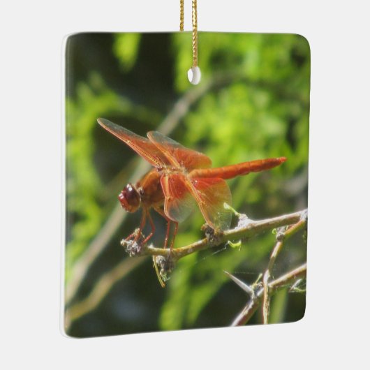 Flame Skimmer Dragonfly Keramisch Ornament (Rechts)
