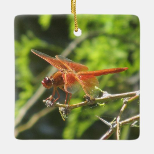 Flame Skimmer Dragonfly Keramisch Ornament (Voorkant)