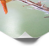 Flame Skimmer Dragonfly op Agave Foto Afdruk (Hoek)