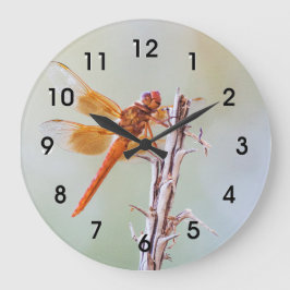 Flame Skimmer Dragonfly op Agave Grote Klok