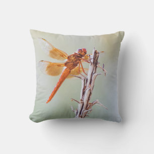 Flame Skimmer Dragonfly op Agave Kussen