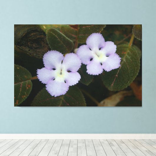 Flame Violet Tropical Wildflower Canvas Afdruk (Insitu (Houten vloer))