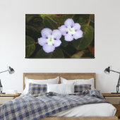 Flame Violet Tropical Wildflower Canvas Afdruk (Insitu (Slaapkamer))