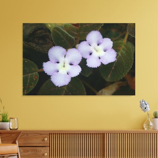 Flame Violet Tropical Wildflower Canvas Afdruk (Insitu (Woonkamer))