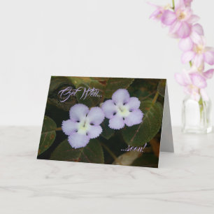 Flame Violet Tropical Wildflower wordt snel beter Kaart