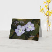 Flame Violet Tropical Wildflower wordt snel beter Kaart (Gele Bloem)