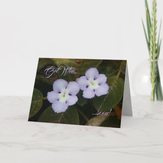 Flame Violet Tropical Wildflower wordt snel beter Kaart (Voorkant)