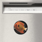 FlameAngel Magneet (Insitu (Vaatwasser))