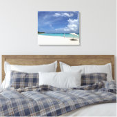 Flamenco Beach Culebra Puerto Canvas Afdruk (Insitu (Slaapkamer))