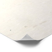 Flamenco Beach Culebra Puerto Poster (Hoek)