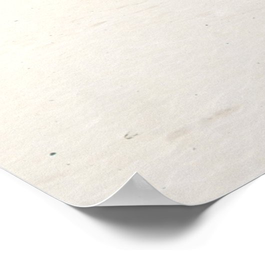 Flamenco Beach Culebra Puerto Poster (Hoek)