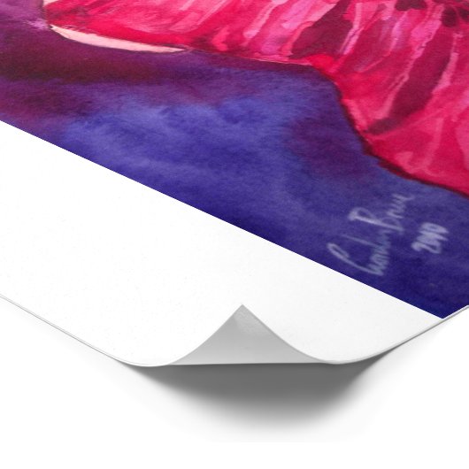 FLAMENCO DANCER POSTER (Hoek)