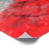 Flamenco Dancer Poster (Hoek)