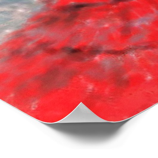 Flamenco Dancer Poster (Hoek)