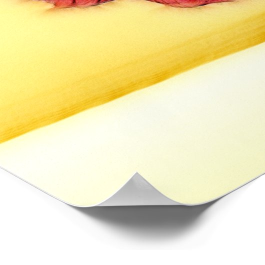 FLAMENCO POSTER (Hoek)