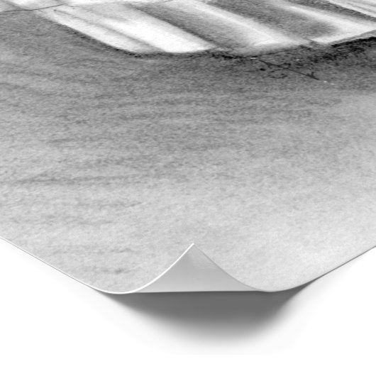 (flamenco) poster (Hoek)