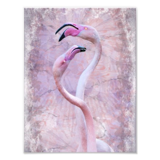 Flamenco Print Foto Afdruk (Voorkant)