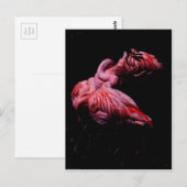 Flames in de duisternis briefkaart (Voorkant / Achterkant)