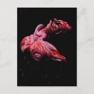 Flames in de duisternis briefkaart