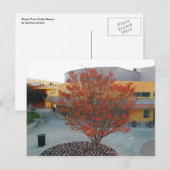 FlameTree Yerba Buena Briefkaart (Voorkant / Achterkant)