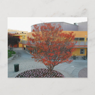 FlameTree Yerba Buena Briefkaart