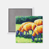 Flamin' Sheep - Schapenmagneet Magneet (Voorkant / Achterkant)