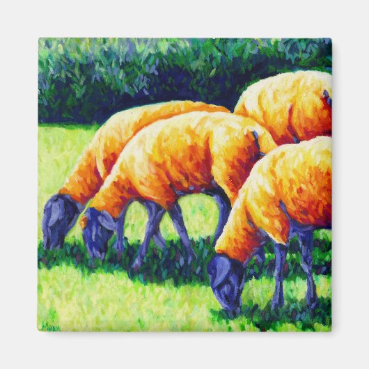 Flamin' Sheep - Schapenmagneet Magneet (Voorkant)