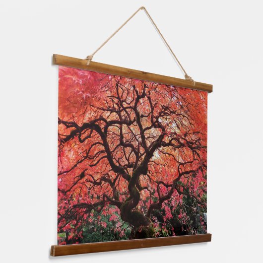 Flaming Gnarly Japanese Maple Tree Hangend Wandkleed (Gebogen)