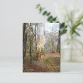 Flaming Grasstree Vakantie Kaart (Staand voorkant)